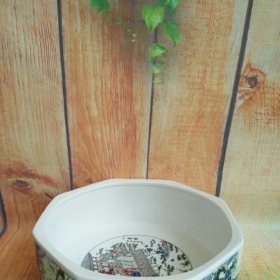 Ang nước thả hoa bát giác